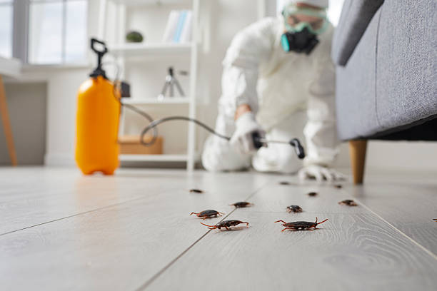 Commercial Kitchen Cockroach Control in Elizabethtown